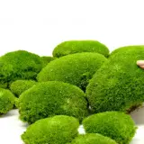 preserved-ball-moss-box-light-green (2)