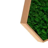 Untitled-12(12)