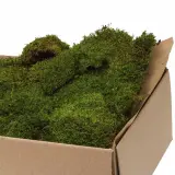 flatt moss