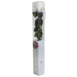 PRZ1000-05-rosa-tallo-standard