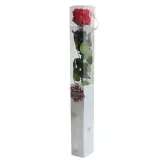 PRZ1200-05-rosa-tallo-standard