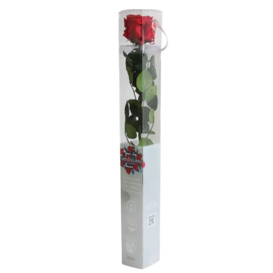 PRZ1200-05-rosa-tallo-standard