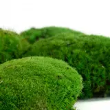 preserved-moss-ball (3)
