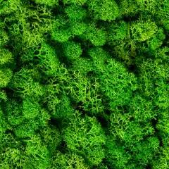 light-green